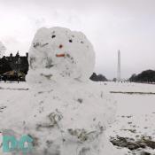 "Washington DC's winter is much warmer than Siberia," stated Vlad Noreaster. "I am just glad we were able to visit America's capital at such a perfect time."