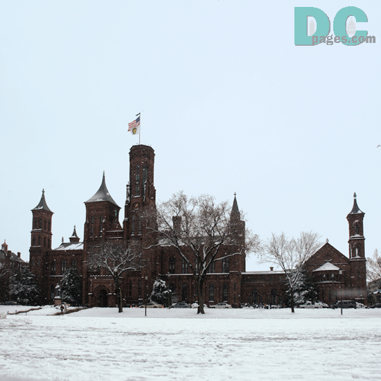Denali stares at the the Smithsonian institution and wonders where Frosty and her friends have gone?...