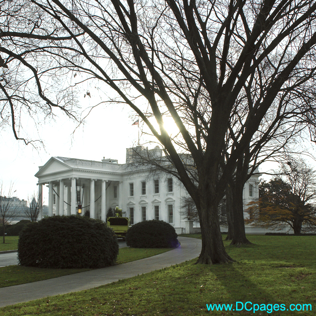 View of White House taken from North West Corner of estate.
