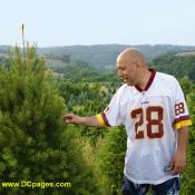 Joe picks out a tree that he wants to adopt. Fresh Christmas tree offers tree adoption services to its customers. 
