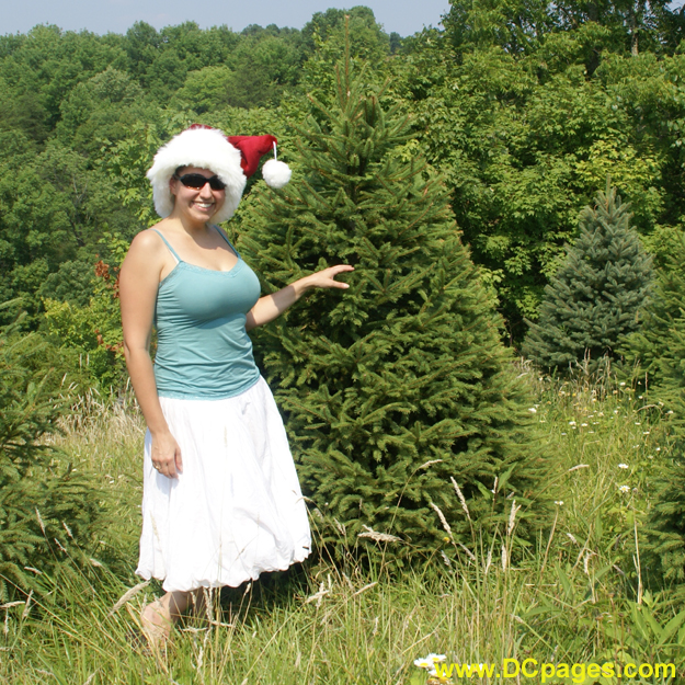 Nicole likes Douglas fir trees. This tree already belongs to family.