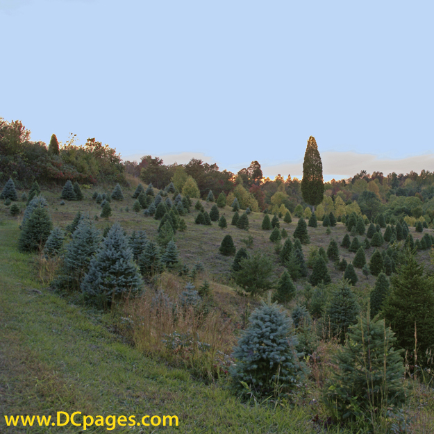 4:30 pm at the farm. The hills are quite steep.