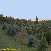 4:30 pm at the farm. The hills are quite steep.