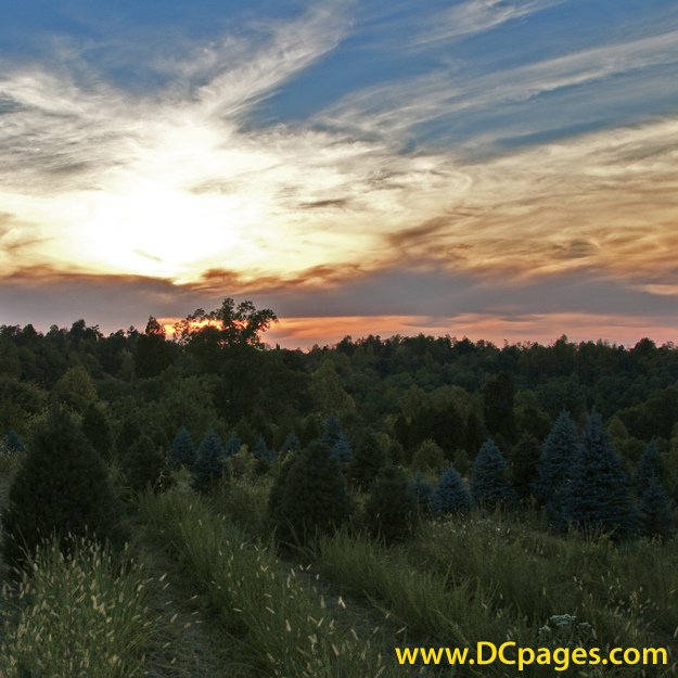 A beautiful sunset at Santa's Forest.