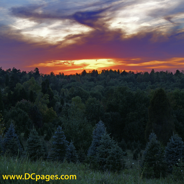 Watchingt the sun disappear below the horizon provides deep tranquillity.