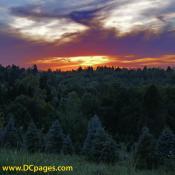 Watchingt the sun disappear below the horizon provides deep tranquillity.