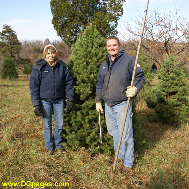 Santa's Forest Customers
