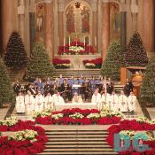 Introductory Rites - The Proclamation for Christmas - Roman Martyrology - Act of Pentinence -  I confess to almighty God, and to you, my brothers and sisters, that I have sinned through my own fault, in my thoughts and in my words, in what I have done, and what I have failed to do; And I ask blessed Mary, ever virgin, all the angels and saints, and you, my brothers and sisters, to pray for me to the Lord our God. 