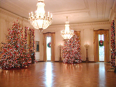 Two beautifully lit 18-foot Blue Spruces light up this room