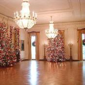Two beautifully lit 18-foot Blue Spruces light up this room