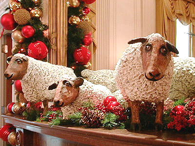 These three sheep were brought to the White House by President Woodrow Wilson during W.W.I. to keep the lawn of the White House neat and trim