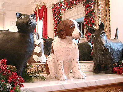 These are the current White House pets, Spot Fetcher, Barney, and India.  Spot Fetcher is the offspring of Millie (Barbara Bush's companion). Spot is the only pet to live in the White House for two administrations