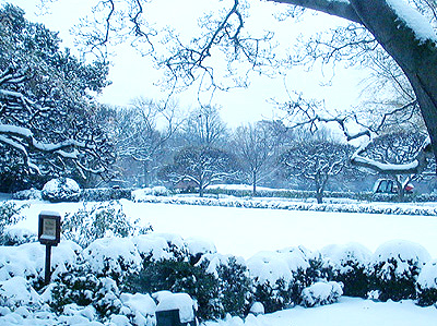 The White House lawns