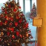 One of the beautifully decorated Christmas trees at the Canadian Embassy