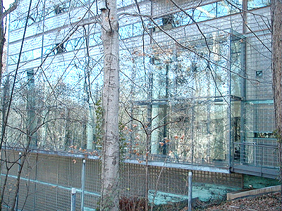 Outside the Finland Embassy