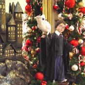 Harry Potter poses in front of Hogwarts, which was made out of gingerbread.