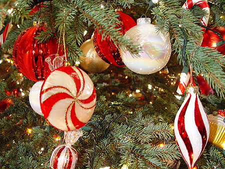 There were an estimated 70,000 tiny white lights used at the holiday event.