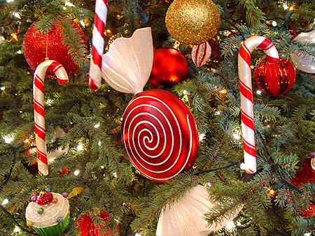 Candy canes hung from all of the 19 christmas trees.