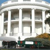 The tree made it to its final destination, the U.S White House, safely and soundly. 