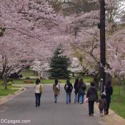 Tourists come by the thousands to Kenwood