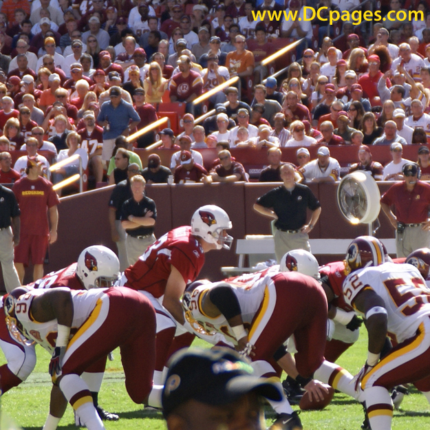 Kurt Warner (13) reads the Redskins defense.