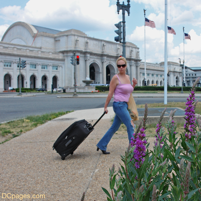 DC does not wont for attractive people