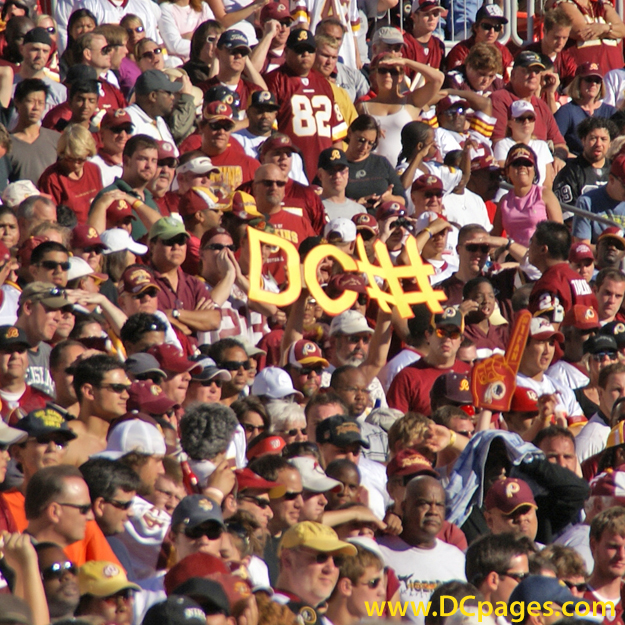 Redskin fan holds up a DC Fence (defense) sign to motivate the team.