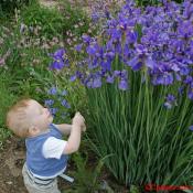 Picking flowers for my mom