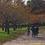 Kids running around Tidal Basin.