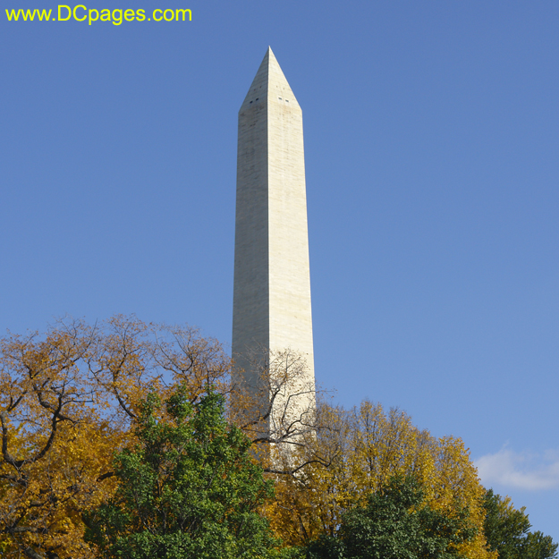 Fall foliage in front of Wasington Monument.
