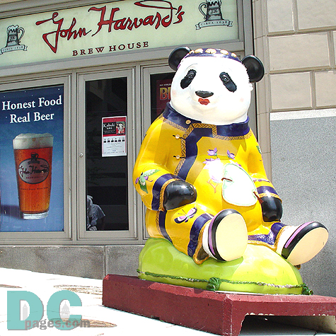 "China Doll" by Amy Goodstine & Brandon Bloch welcomes you to John Harvard's BREW HOUSE near Warner Theatre on 1299 Pennsylvania Ave., N.W.
