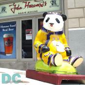 "China Doll" by Amy Goodstine & Brandon Bloch welcomes you to John Harvard's BREW HOUSE near Warner Theatre on 1299 Pennsylvania Ave., N.W.