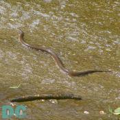 DSC05105