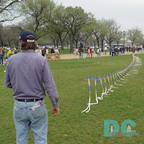 Smithsonian Kite Festival