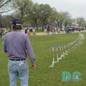 Smithsonian Kite Festival