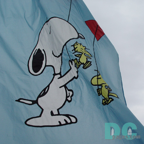Smithsonian Kite Festival - Decorative Flags