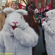 Chinese New Year Parade in Washington, DC