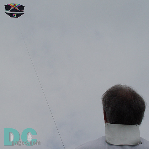 Smithsonian Kite Festival - Kite in the air