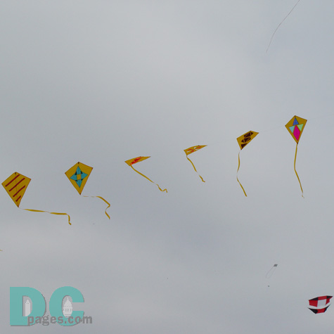 Smithsonian Kite Festival - String of kites