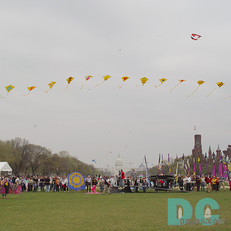 Smithsonian Kite Festival - String of kites