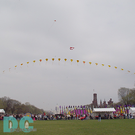 Smithsonian Kite Festival - String of kites
