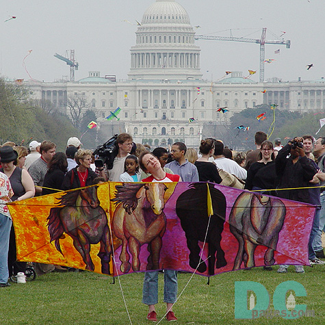 Smithsonian Kite Festival - Creative kite winner - Patrick Callahan and Susan Lennon - 'Beauty in the Air' kite
