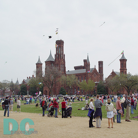 Smithsonian Kite Festival - Kites everywhere