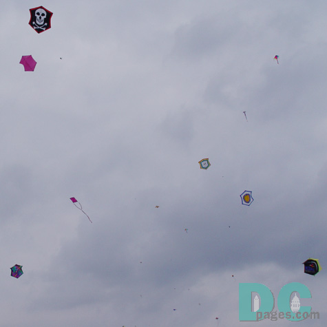 Smithsonian Kite Festival - Kite fighter competition