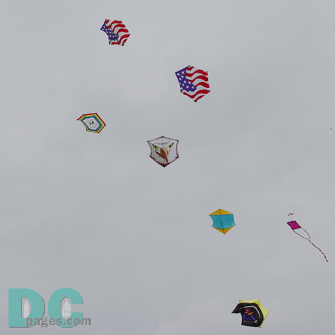 Smithsonian Kite Festival - Kite fighter competition