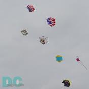 Smithsonian Kite Festival - Kite fighter competition