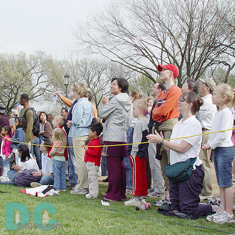 Smithsonian Kite Festival - Kite fighter competition