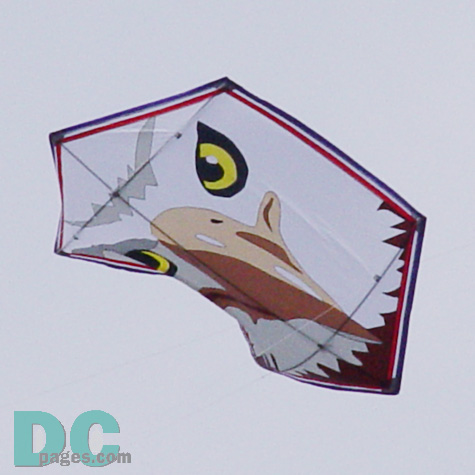 Smithsonian Kite Festival - Kite fighter competition