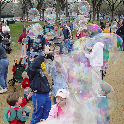 Smithsonian Kite Festival - Award Ceremony 
