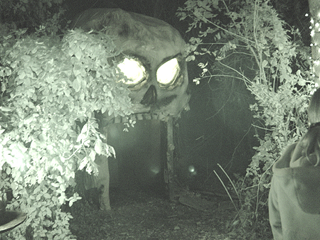The entrance to Markoff's Haunted Forest:  going into the mouth of danger.  
